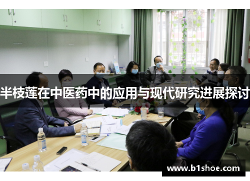 半枝莲在中医药中的应用与现代研究进展探讨
